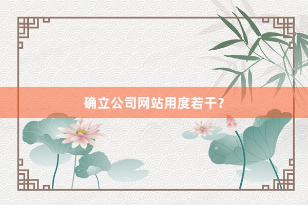 确立公司网站用度若干？