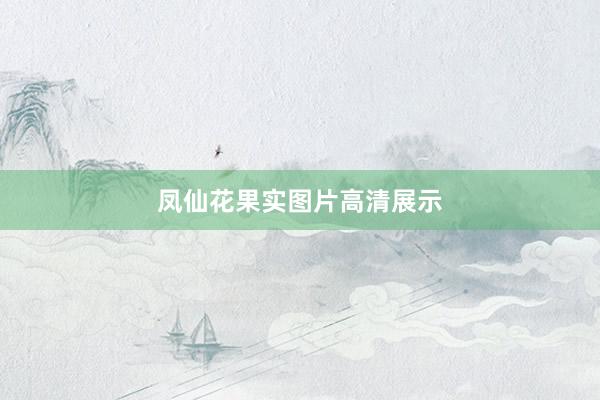 凤仙花果实图片高清展示